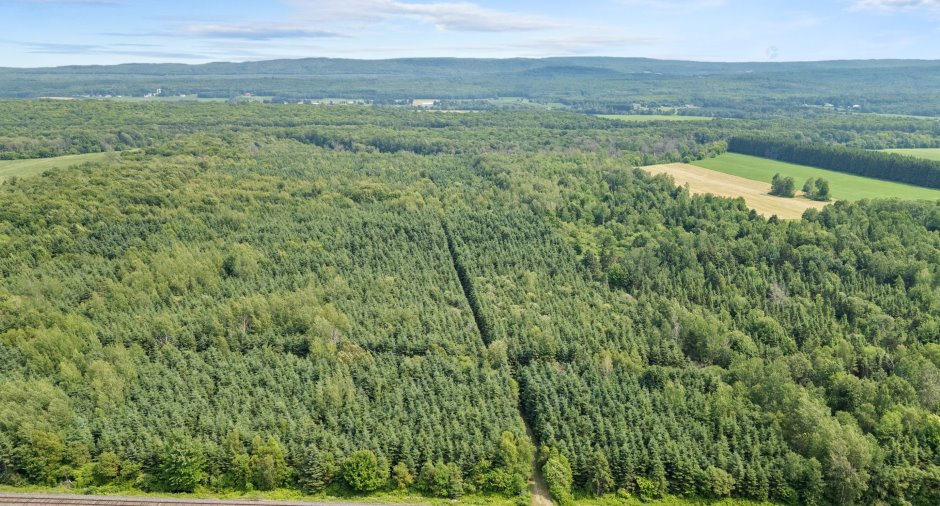 Overall View