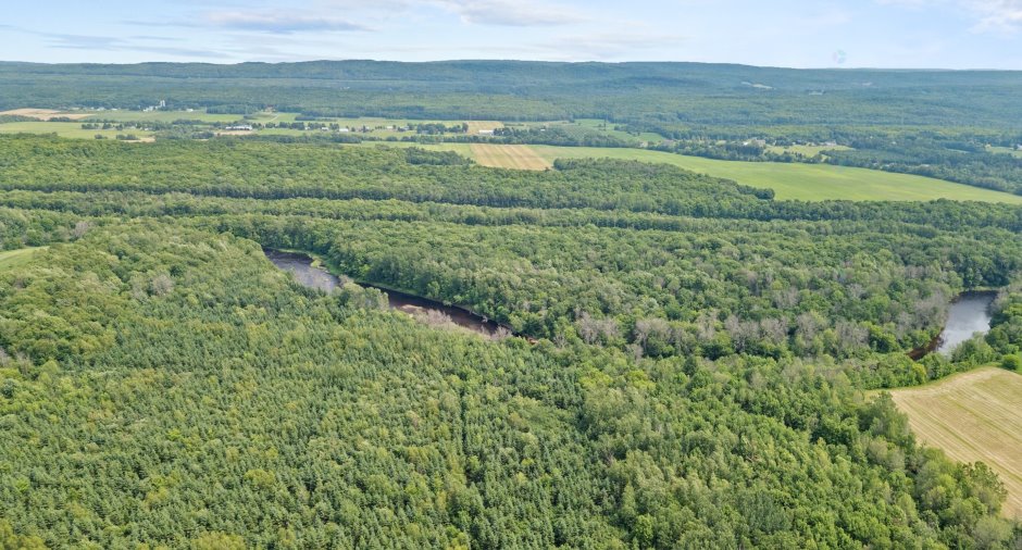 Overall View