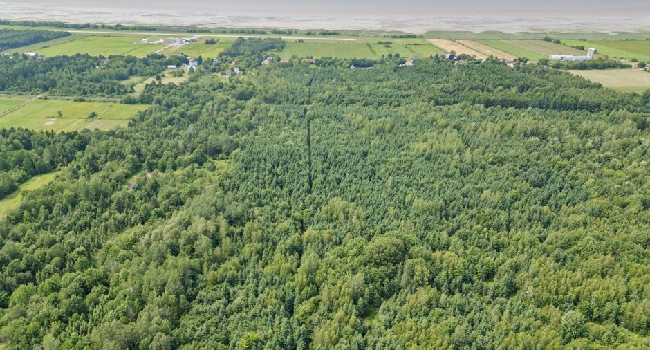 Overall View