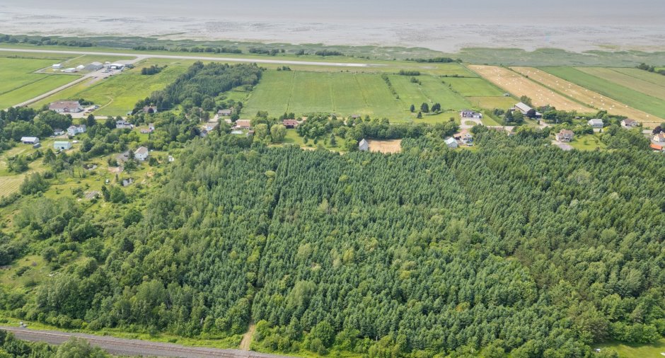 Overall View