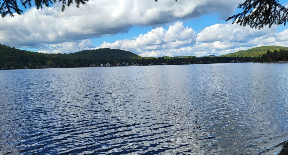Vue sur l'eau