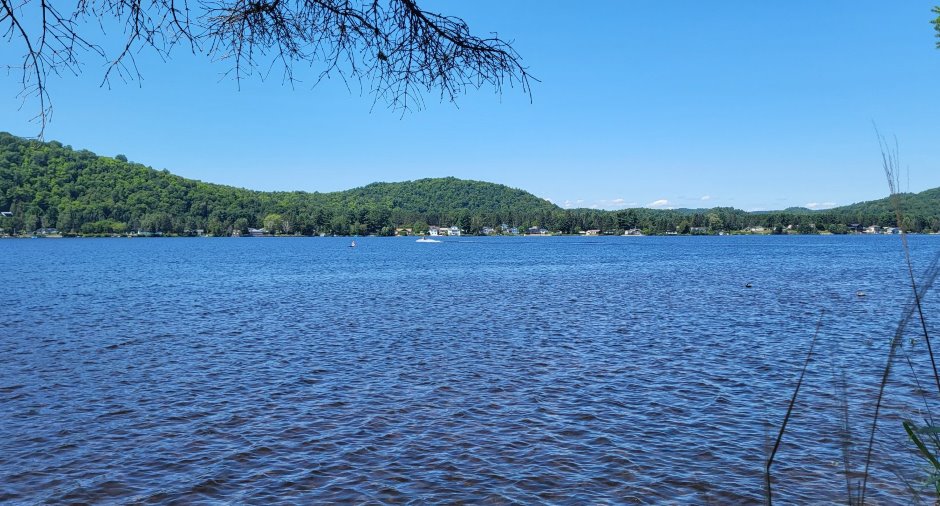 Vue sur l'eau