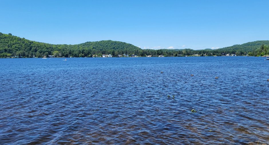 Vue sur l'eau