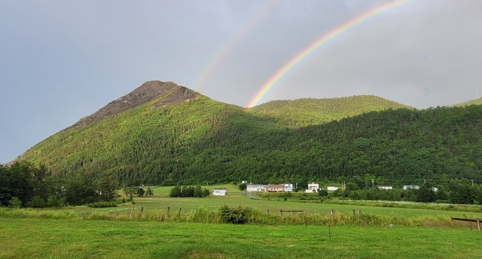 Overall View
