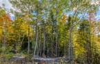 Vue d'ensemble
