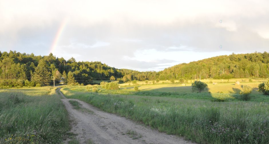 Terre/Terrain