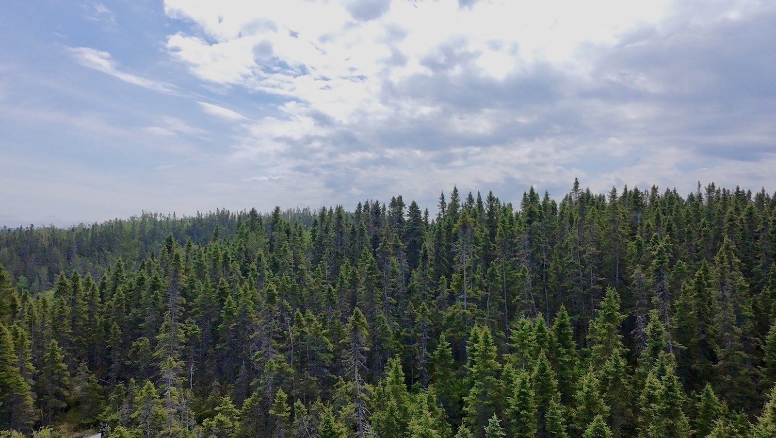 Boul. de la Grande-Baie S. — photo 2