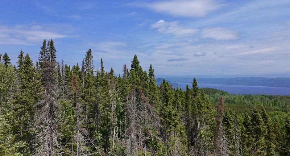 Vue d'ensemble