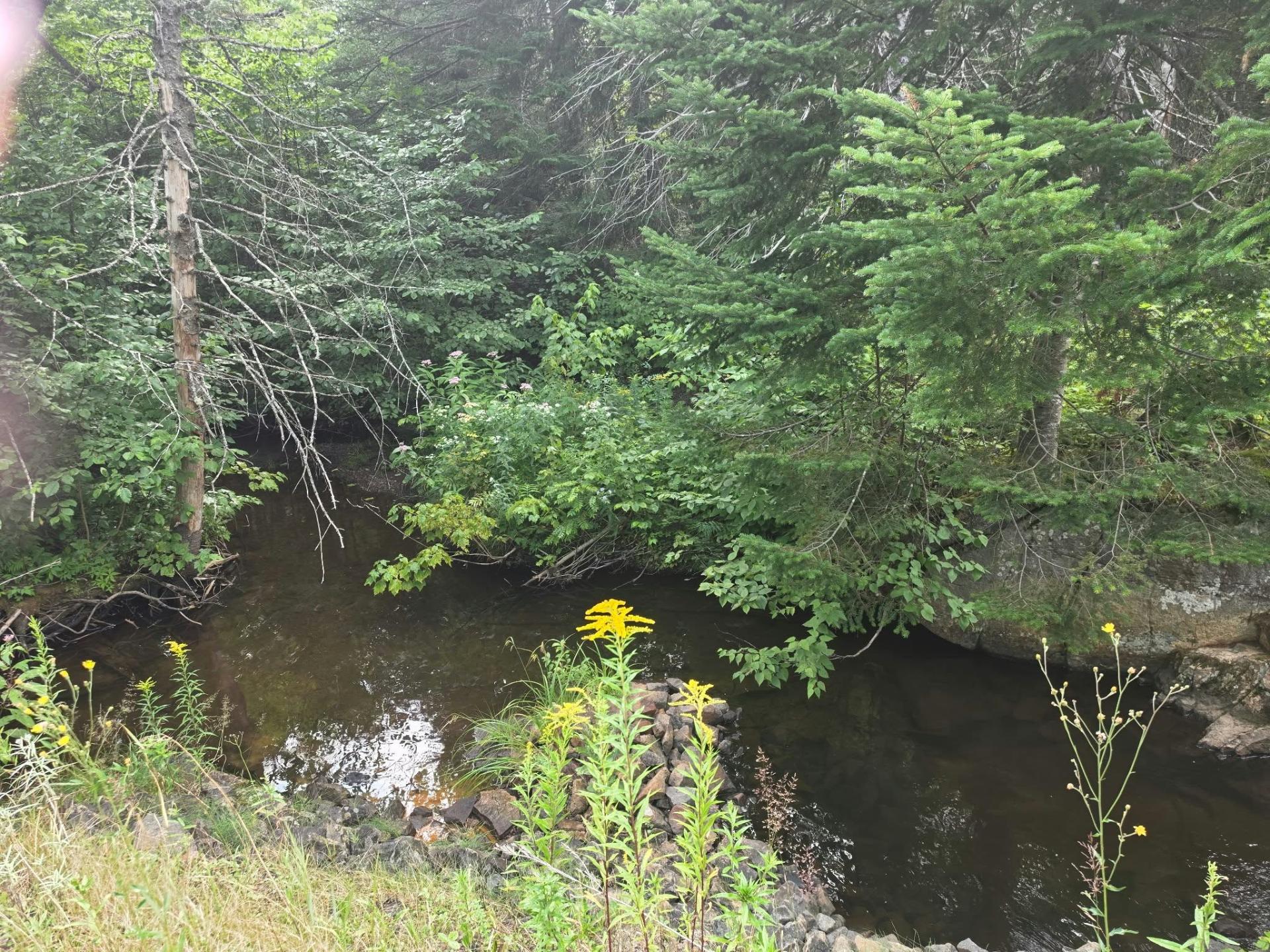 Ch. de Val-des-Lacs — photo 1