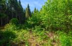 Terre/Terrain