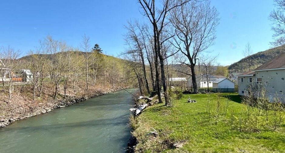Bord de l'eau
