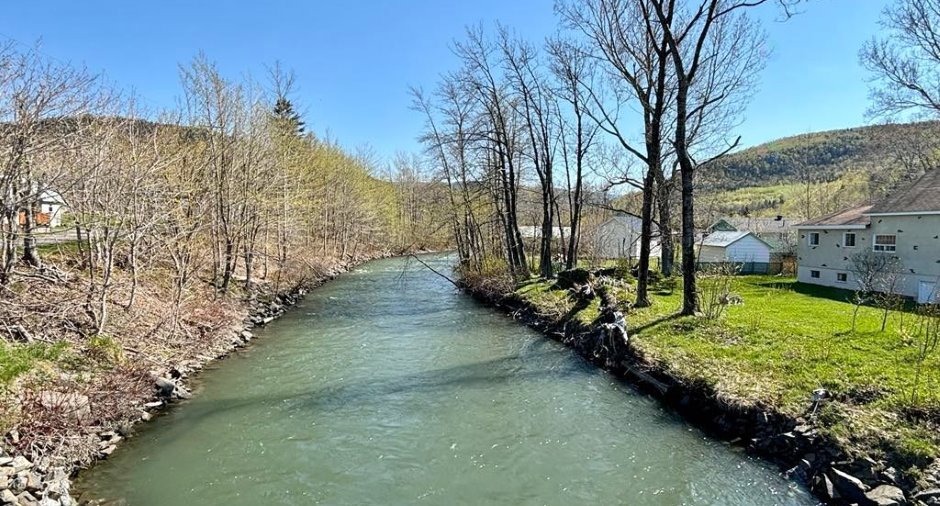 Bord de l'eau