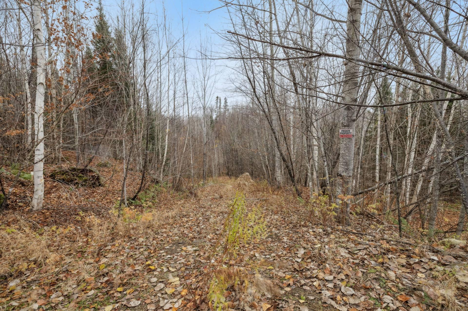 Ch. du Lac-Michel — photo 3