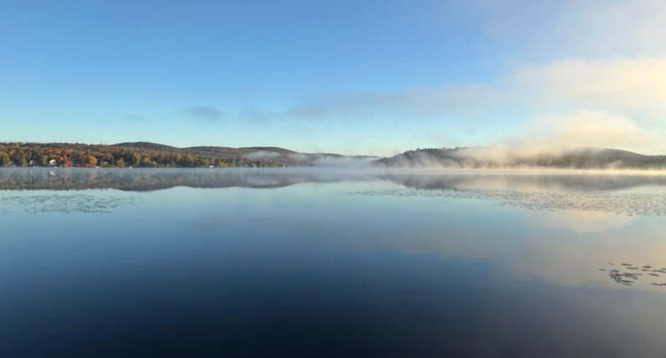 Vue sur l'eau