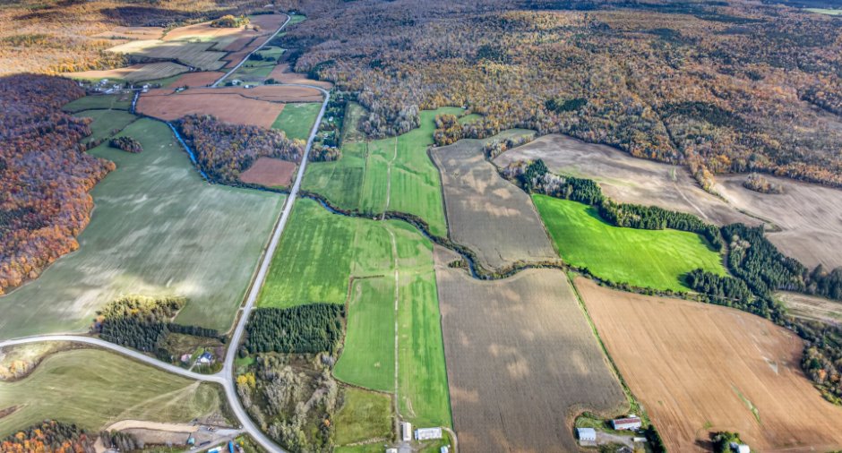 Land/Lot