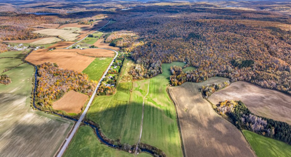 Land/Lot