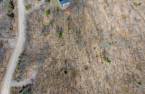 Terre/Terrain