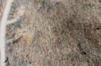 Terre/Terrain