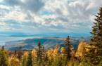 Vue