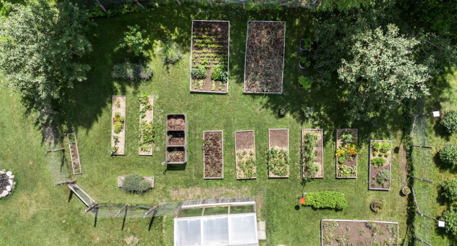 Jardin