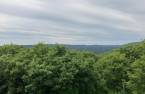 Vue