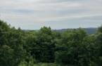 Vue