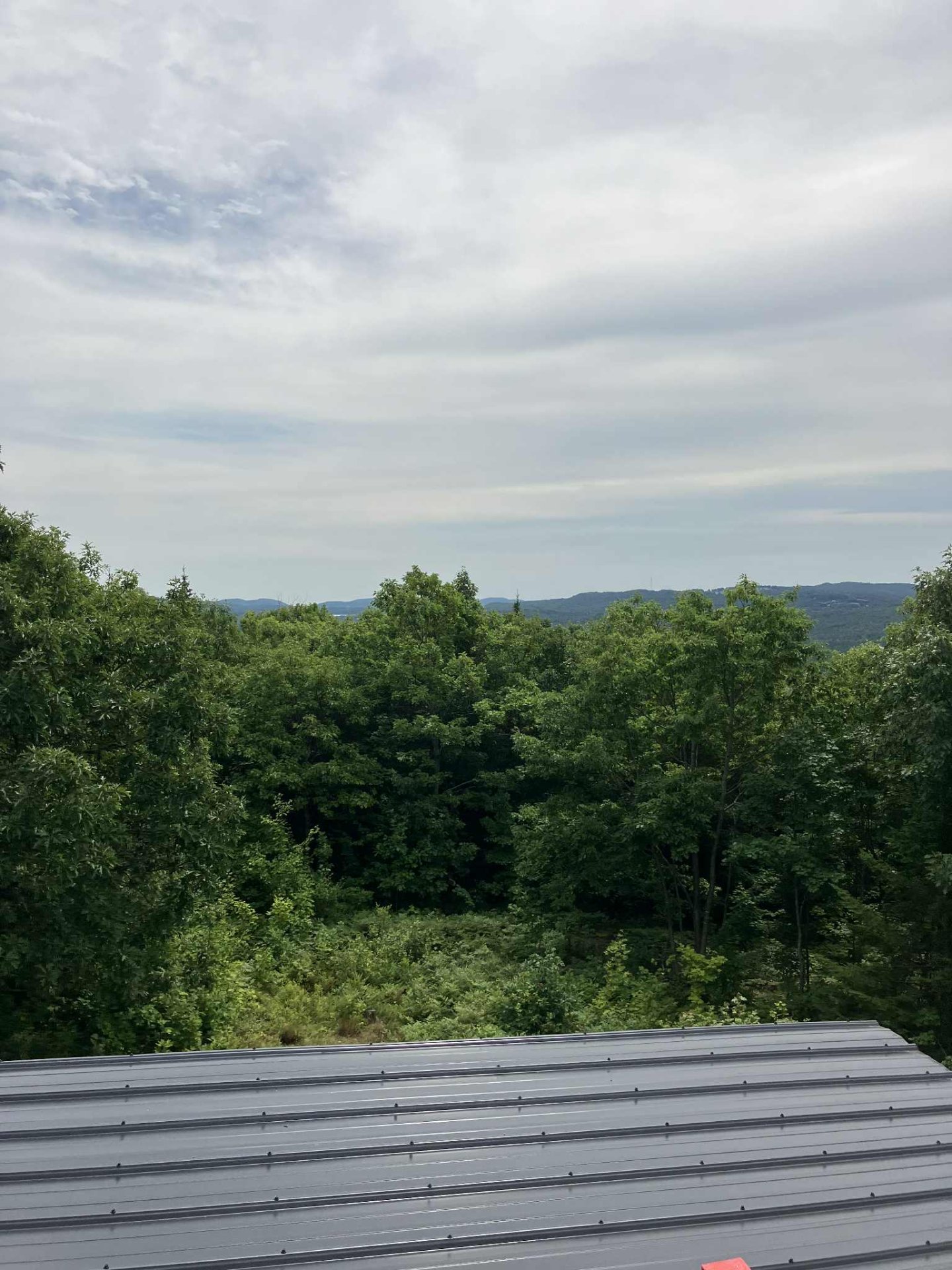 Vue
