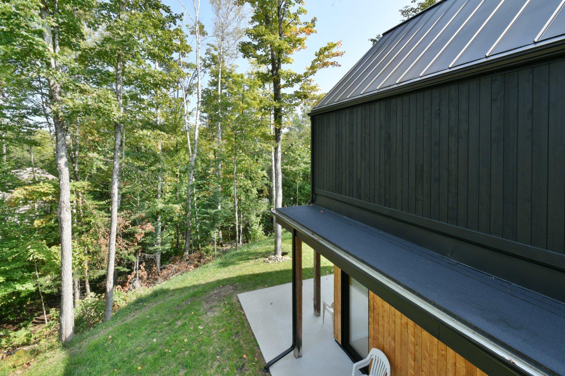 Vue