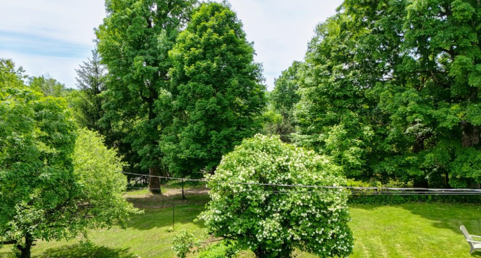 Vue d'ensemble