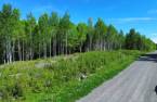 Terre/Terrain
