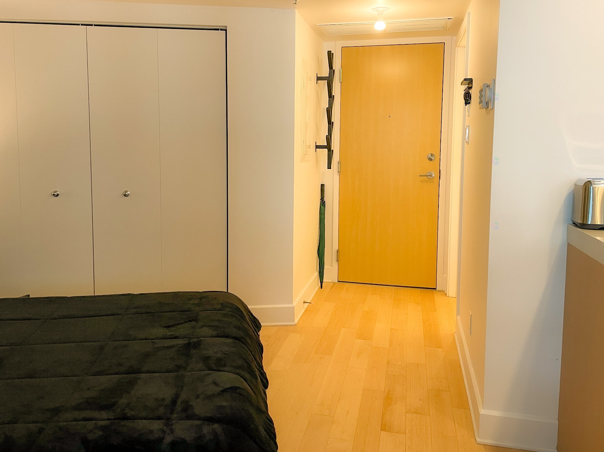 101 Rue Peel (#1806) — photo 3