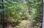 Terre/Terrain