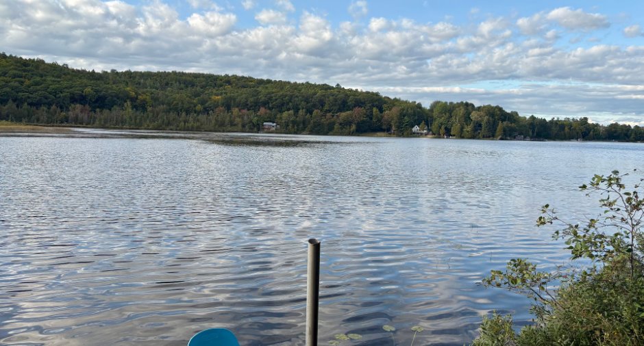 Bord de l'eau