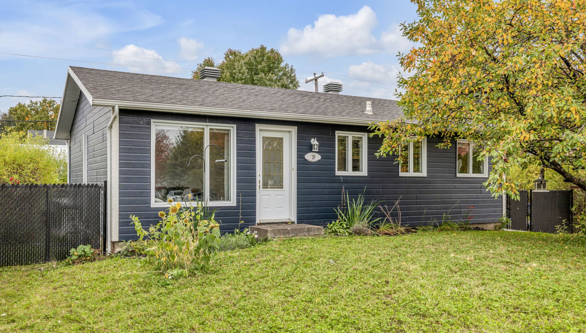 29 Rue Lauréat-Bélanger — photo 1