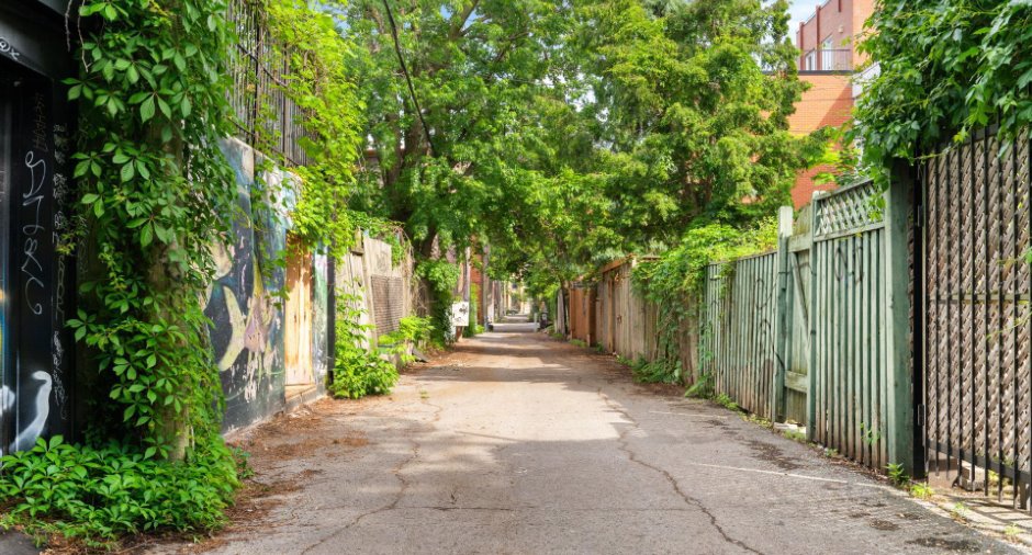 Rue
