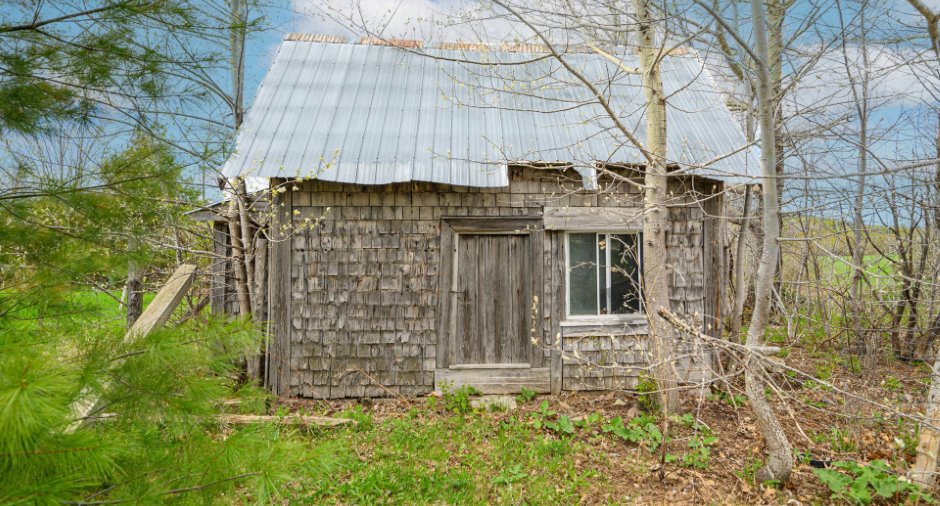 Shed