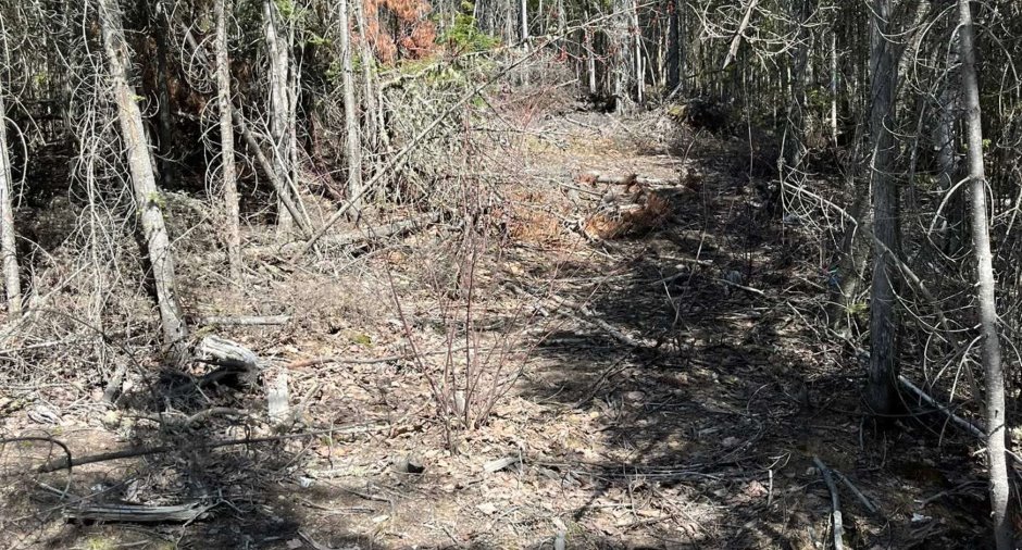 Land/Lot