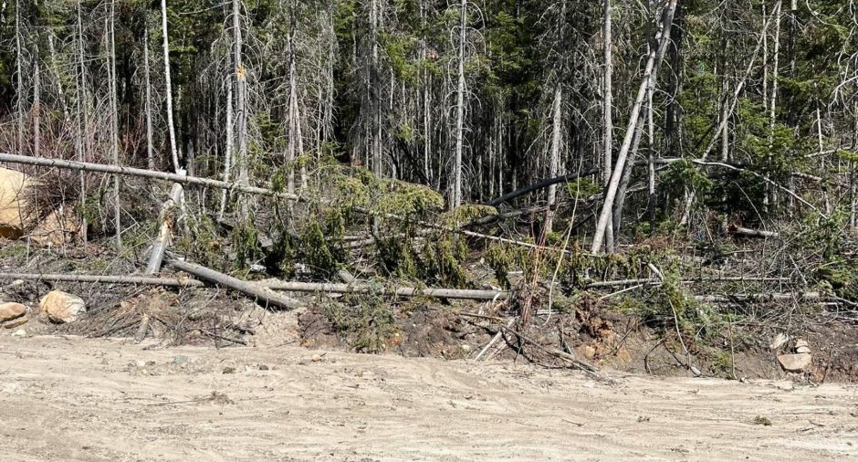 Land/Lot