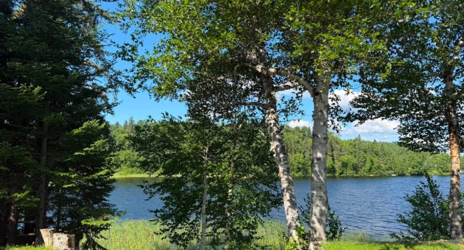 Vue sur l'eau