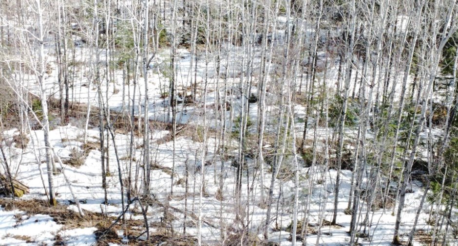 Terre/Terrain