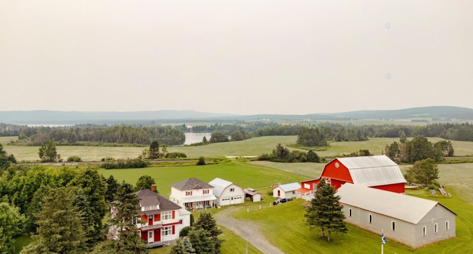 Aerial photo