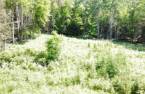 Terre/Terrain