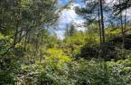Terre/Terrain