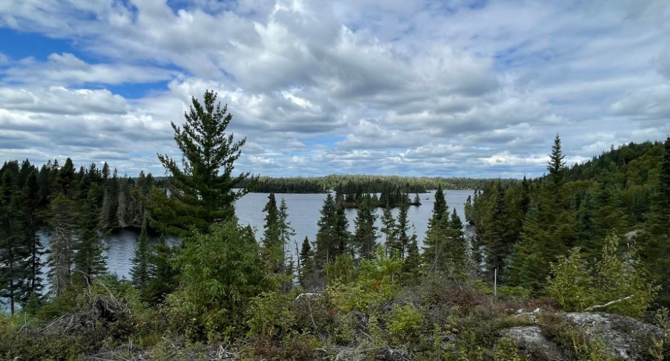Vue sur l'eau