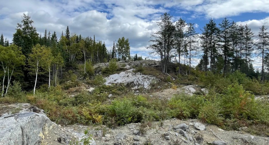 Terre/Terrain
