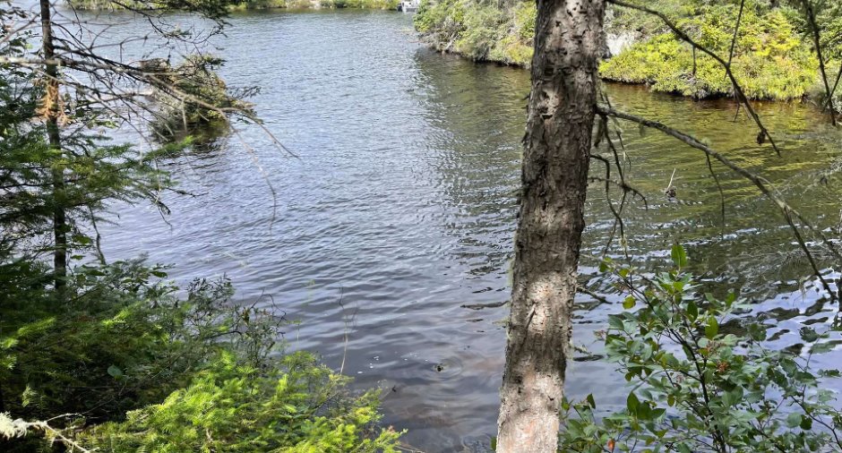 Bord de l'eau