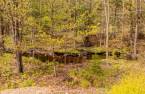 Wooded area