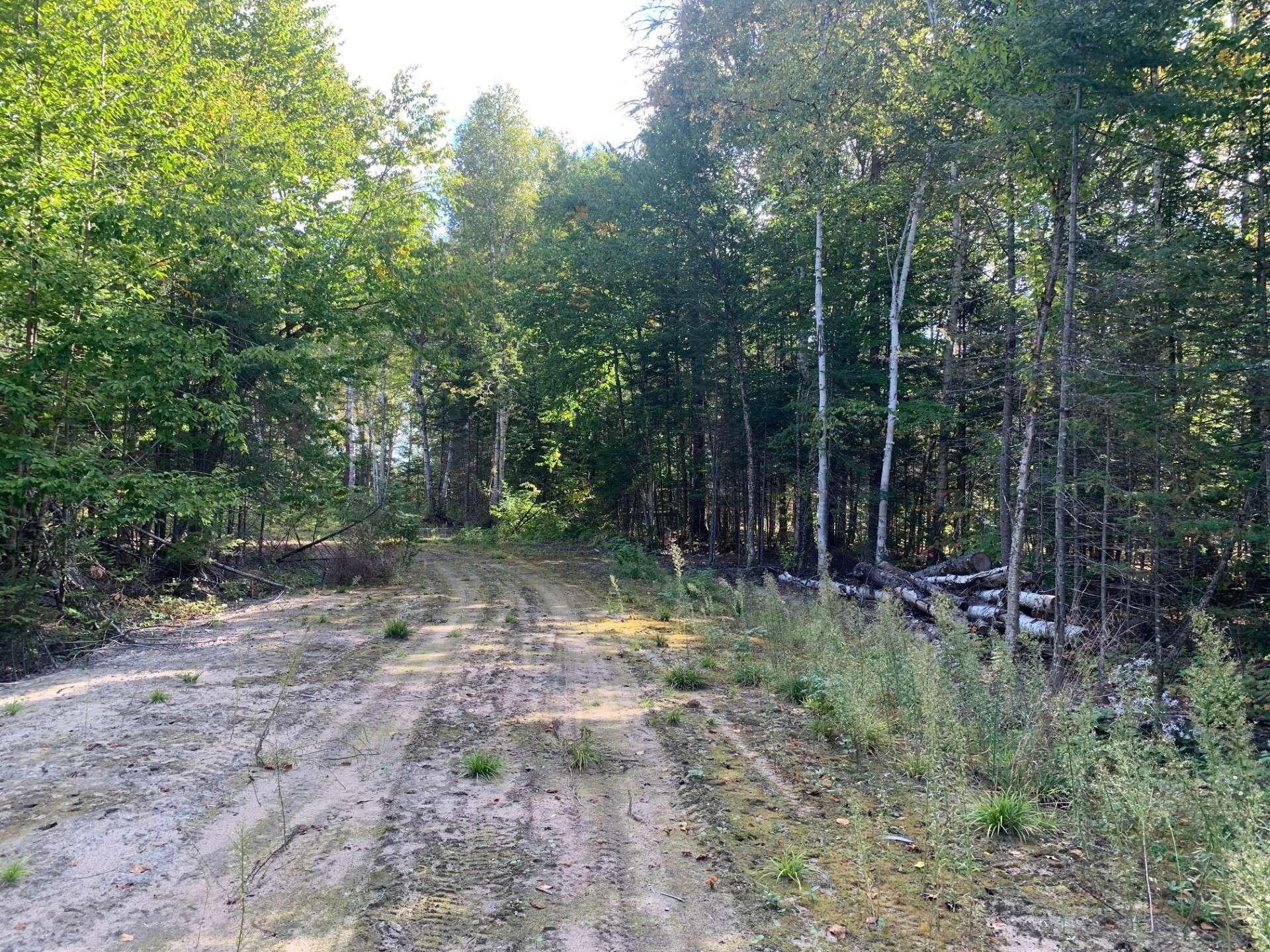 Ch. Nibi — photo 1