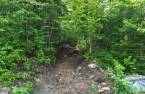 Terre/Terrain