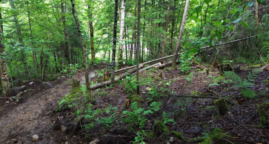 Terre/Terrain